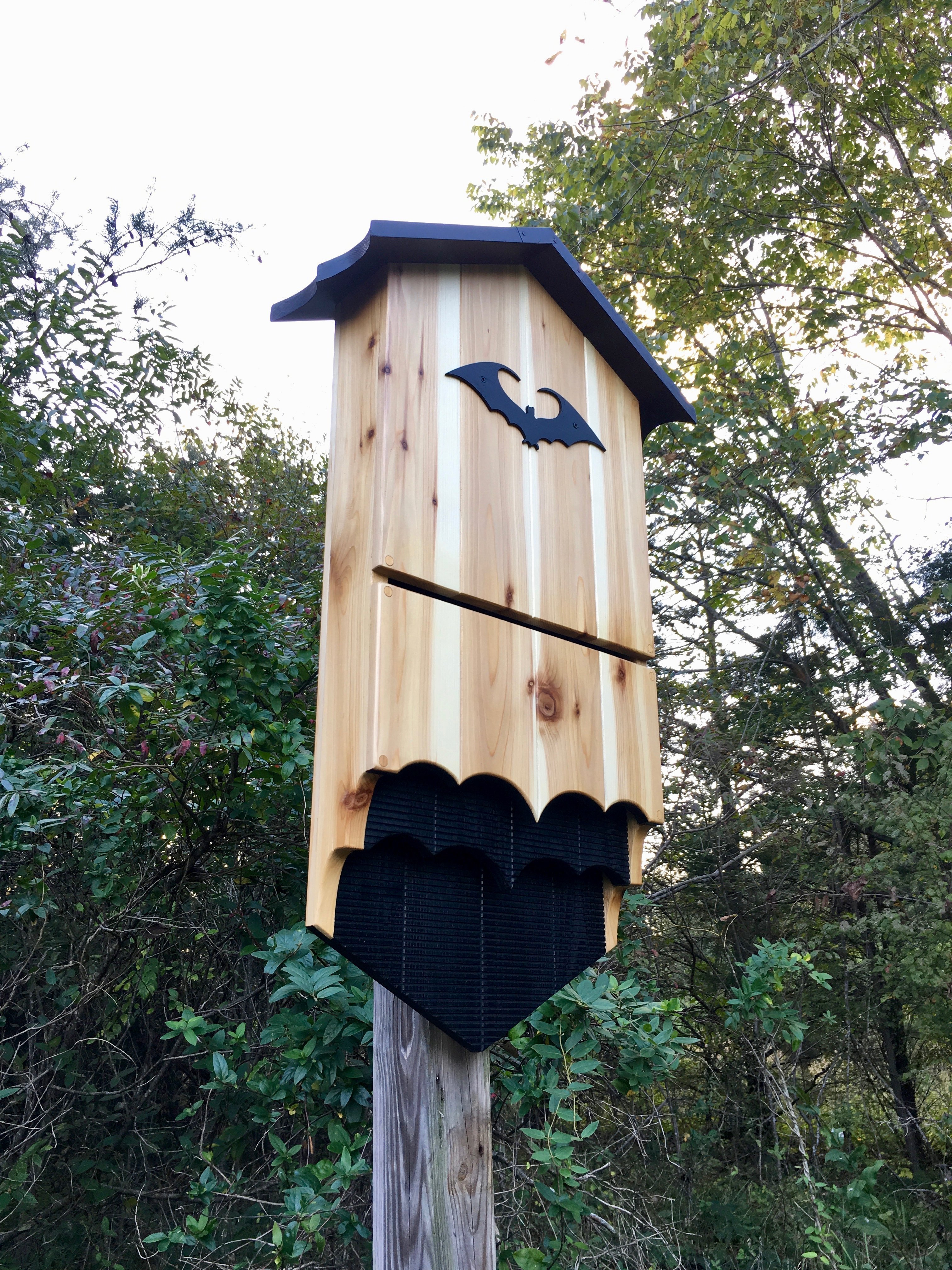 bat-house-placement-guide-bat-house-plans-bat-house-bat-house-diy